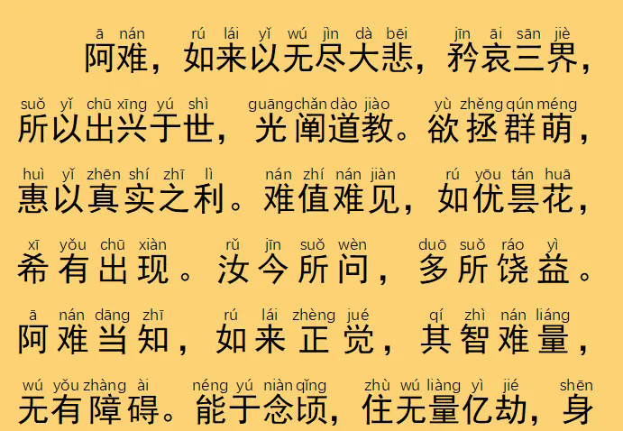 15.webp.png