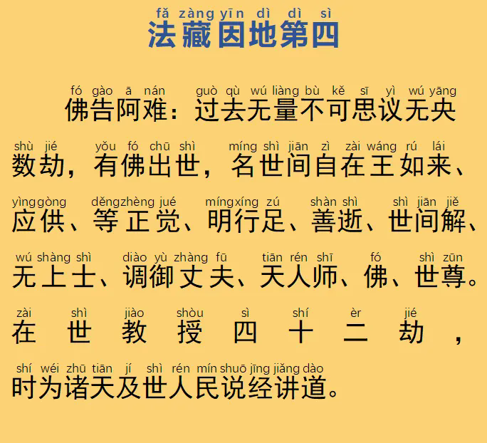 17.webp.png