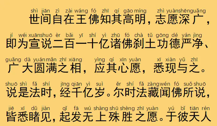 24.webp.png
