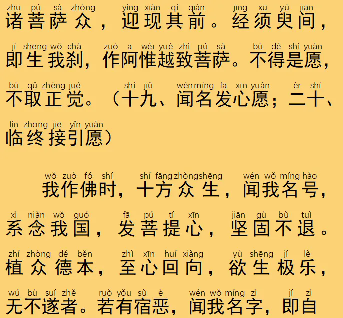 35.webp.png