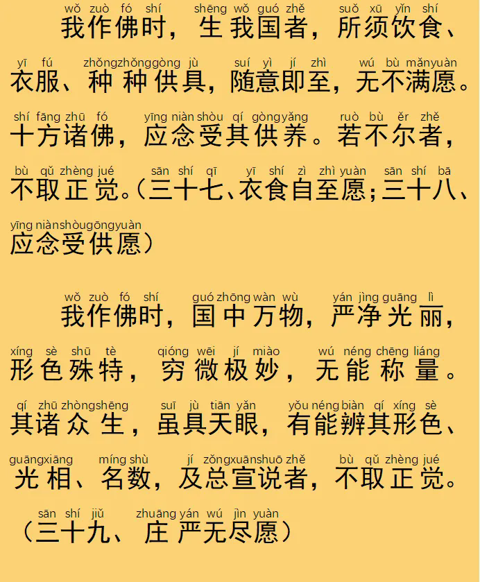 41.webp.png
