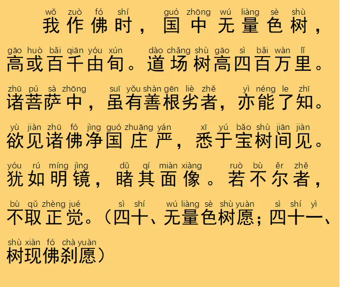 42.webp.png