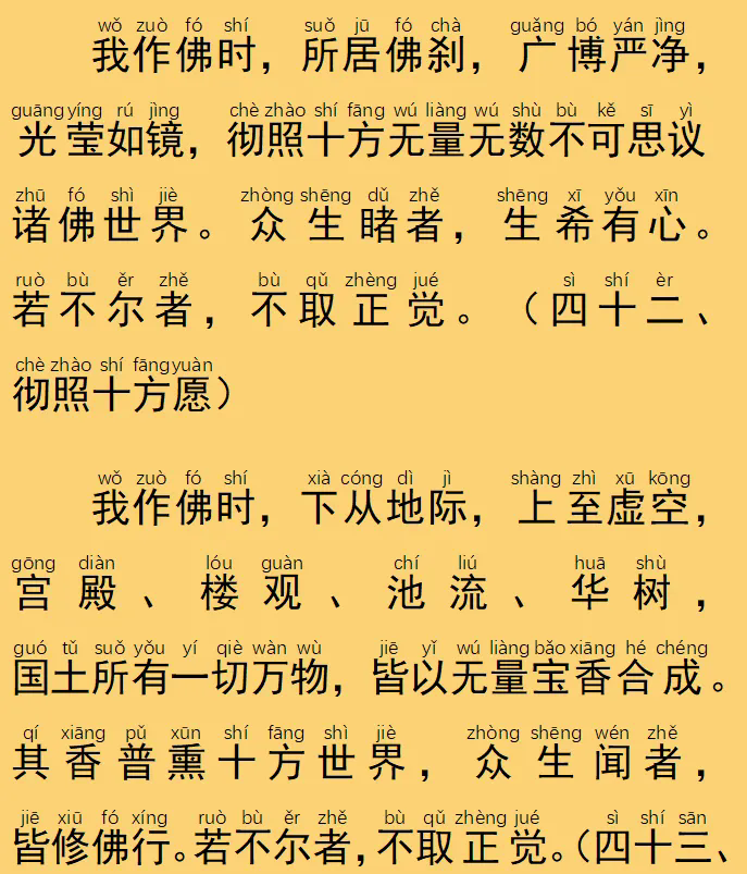 43.webp.png