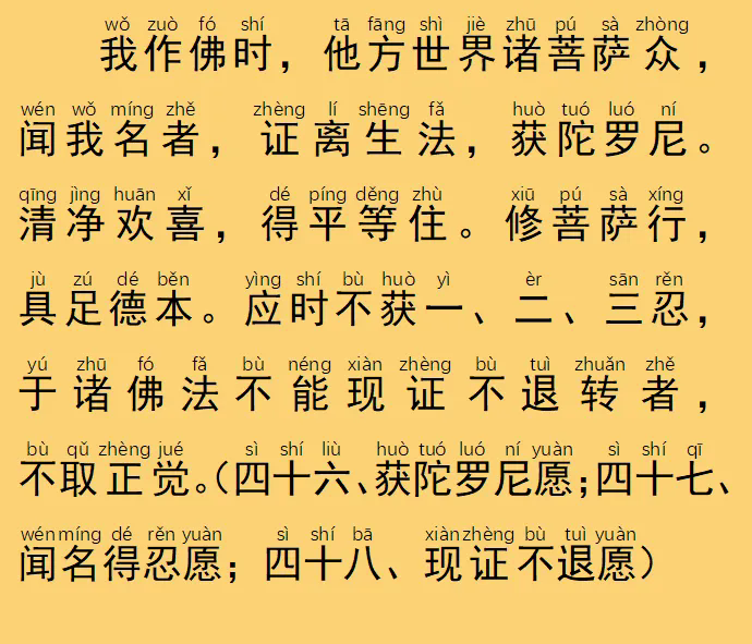 45.webp.png
