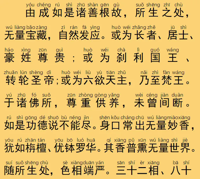52.webp.png