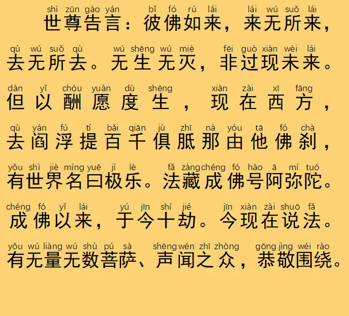 55.webp.png