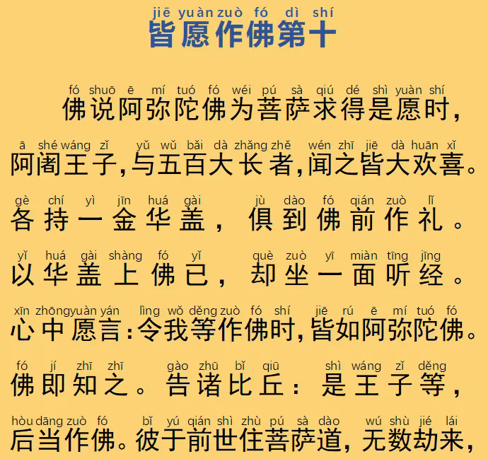 56.webp.png