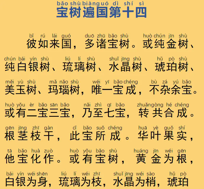 65.webp.png