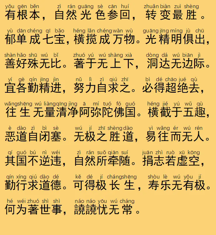 116.webp.png