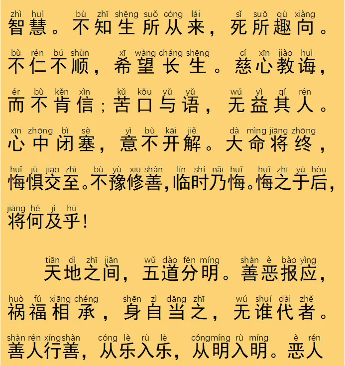 131.webp.png
