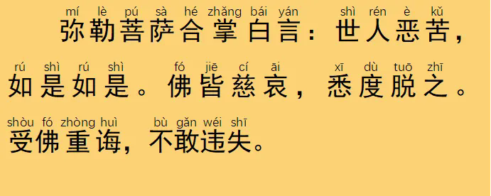 141.webp.png