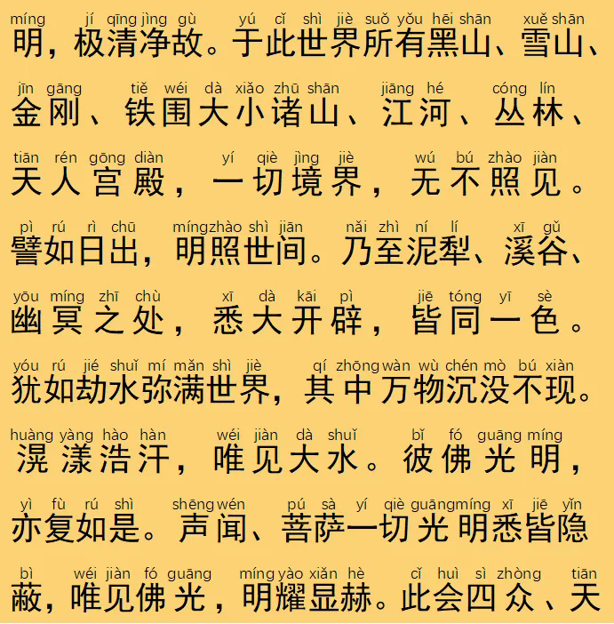 144.webp.png