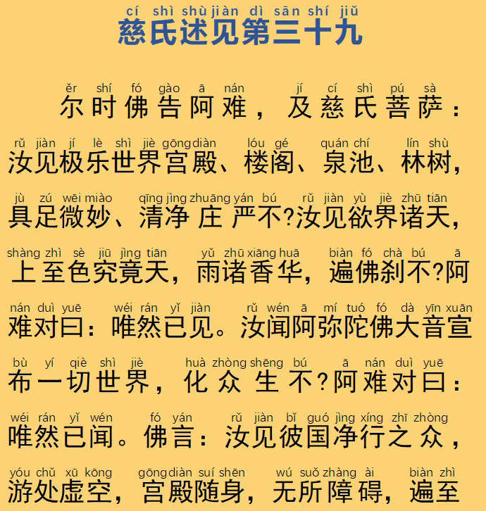 147.webp.png