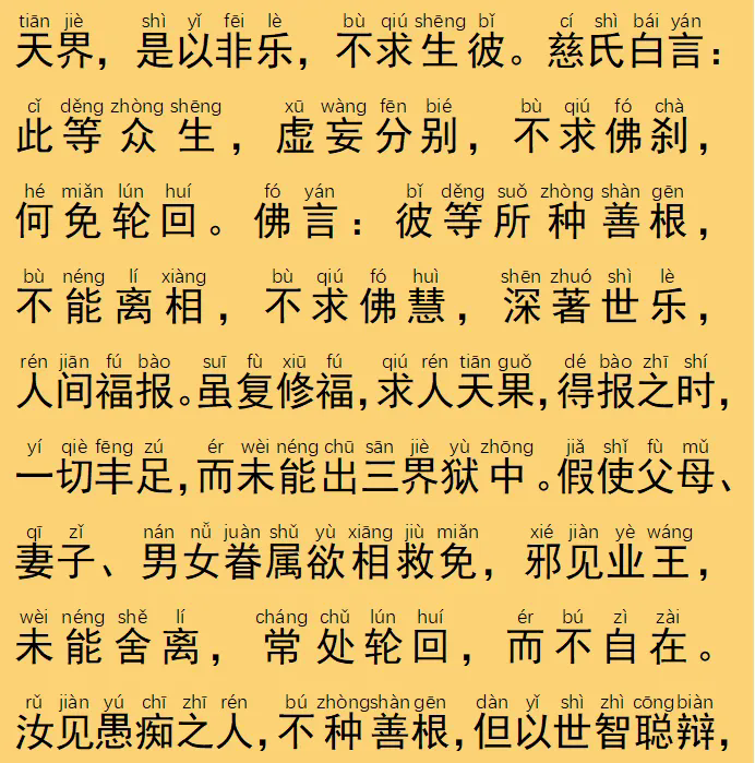 156.webp.png