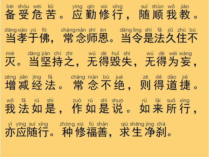 169.webp.png
