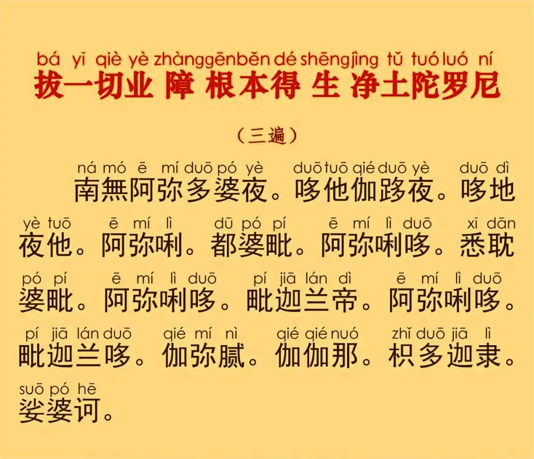 175.webp.png